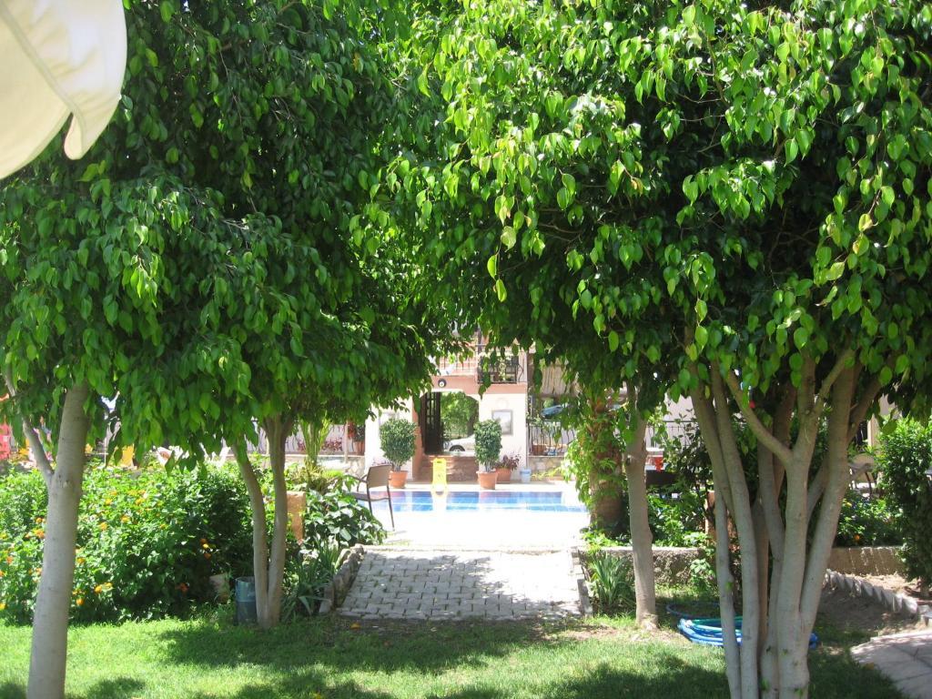 Mg Moms Hotel Kemer Exteriör bild